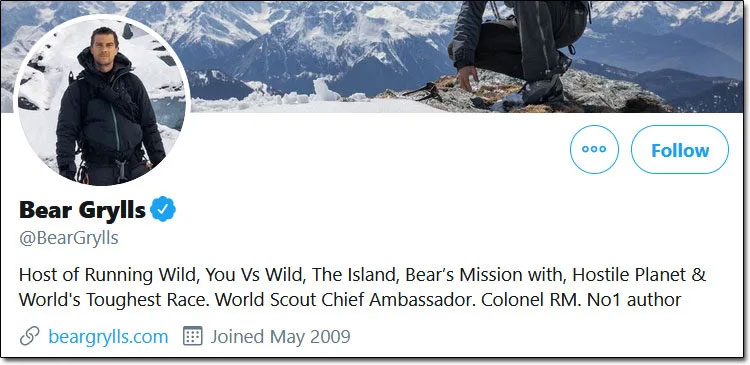 Bear Grylls Twitter Profile